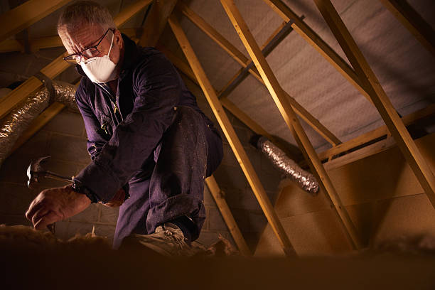 Best Fiberglass Insulation in Big Bear Lake, CA